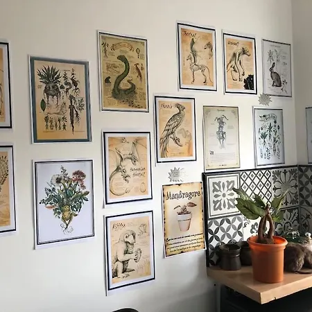 Maison Harry Potter Pour 6 Personnes En Centre Appartamento Montauban