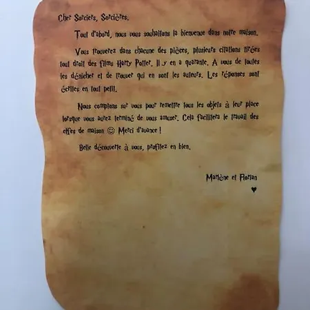 Daire Maison Harry Potter Pour 6 Personnes En Centre Montauban