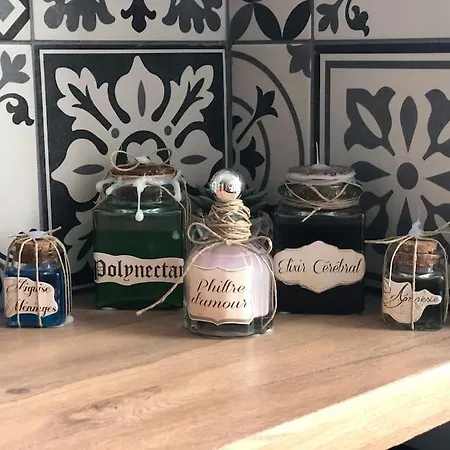 Daire Maison Harry Potter Pour 6 Personnes En Centre Montauban