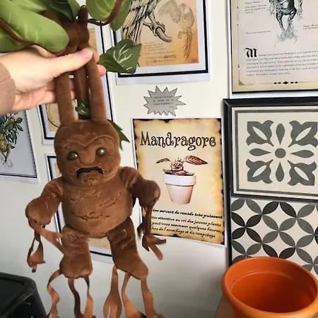 Appartamento Maison Harry Potter Pour 6 Personnes En Centre