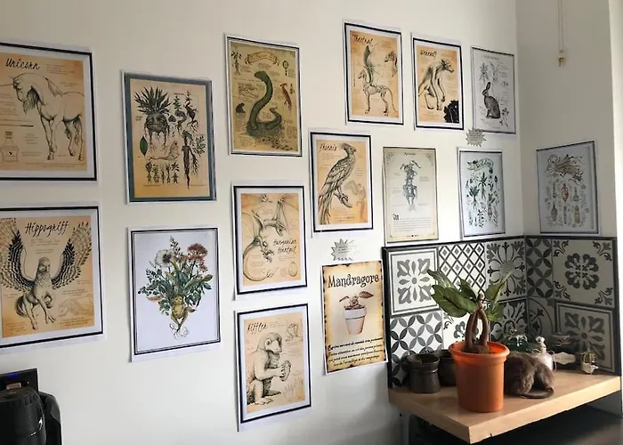 Maison Harry Potter Pour 6 Personnes En Centre Διαμέρισμα Μοντωμπάν