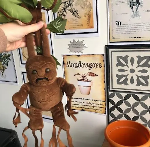 Apartment Maison Harry Potter Pour 6 Personnes En Centre